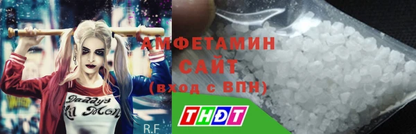 ГАЛЛЮЦИНОГЕННЫЕ ГРИБЫ Дмитриев