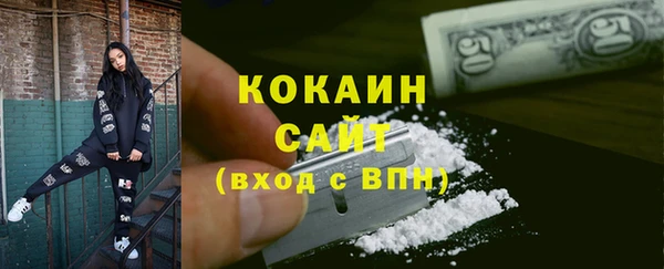ГАЛЛЮЦИНОГЕННЫЕ ГРИБЫ Дмитриев