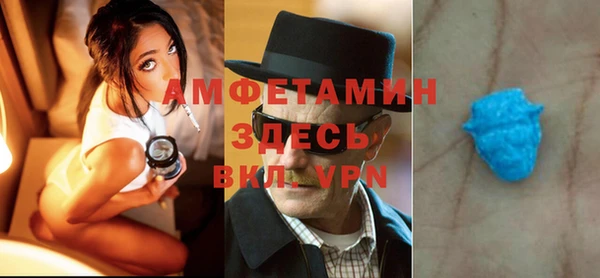 ГАЛЛЮЦИНОГЕННЫЕ ГРИБЫ Дмитриев