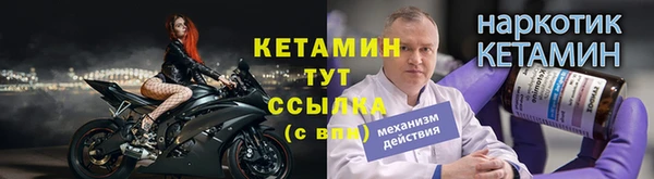 ГАЛЛЮЦИНОГЕННЫЕ ГРИБЫ Дмитриев