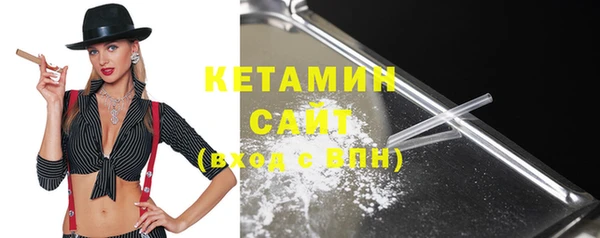 ГАЛЛЮЦИНОГЕННЫЕ ГРИБЫ Дмитриев