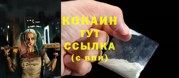 ГАЛЛЮЦИНОГЕННЫЕ ГРИБЫ Дмитриев