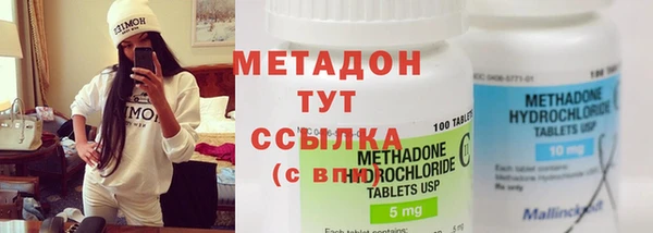 ГАЛЛЮЦИНОГЕННЫЕ ГРИБЫ Дмитриев