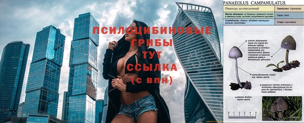 винт Дмитров