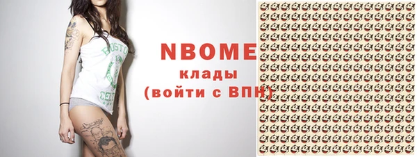 ГАЛЛЮЦИНОГЕННЫЕ ГРИБЫ Дмитриев