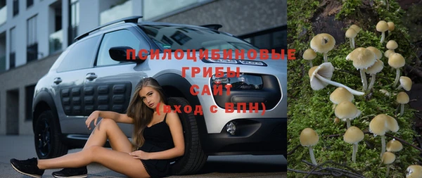 винт Дмитров