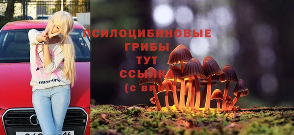 ГАЛЛЮЦИНОГЕННЫЕ ГРИБЫ Дмитриев