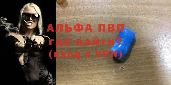 ГАЛЛЮЦИНОГЕННЫЕ ГРИБЫ Дмитриев