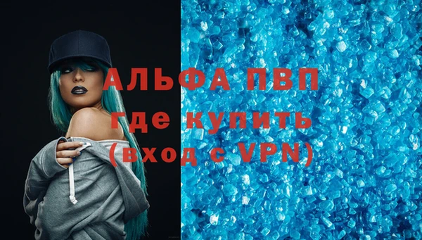 ГАЛЛЮЦИНОГЕННЫЕ ГРИБЫ Дмитриев