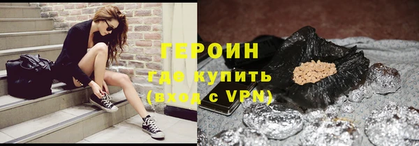 ГАЛЛЮЦИНОГЕННЫЕ ГРИБЫ Дмитриев