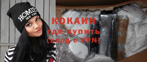 ГАЛЛЮЦИНОГЕННЫЕ ГРИБЫ Дмитриев