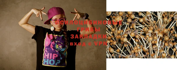 ГАЛЛЮЦИНОГЕННЫЕ ГРИБЫ Дмитриев