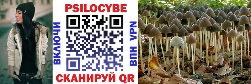 Купить где  Тында  Псилоцибиновые грибы ЛСД 